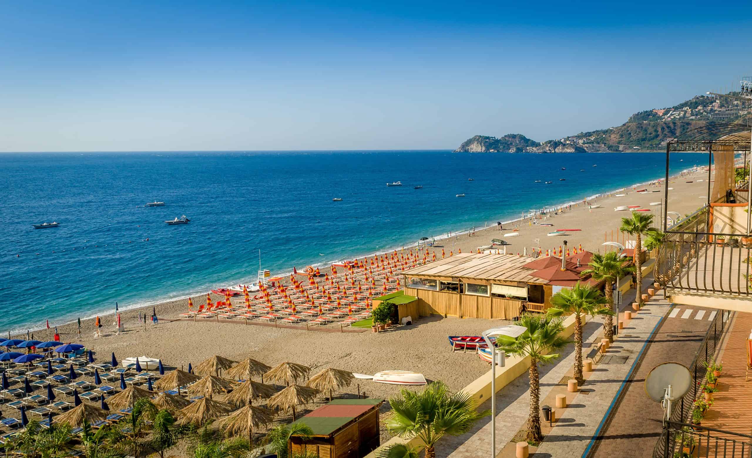 rows of beach chairs and umbrellas on the beach in front of the sea with palm trees lining the sidewalk