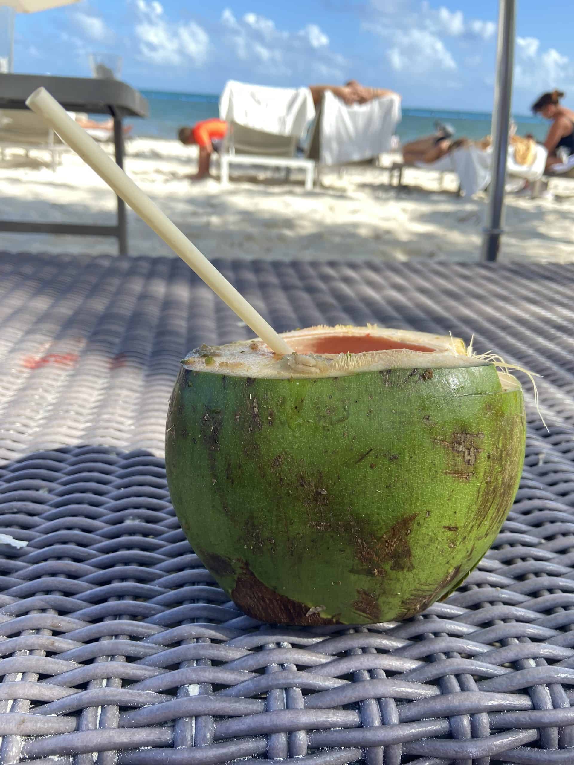 Half a fruit with green skin with a straw coming out