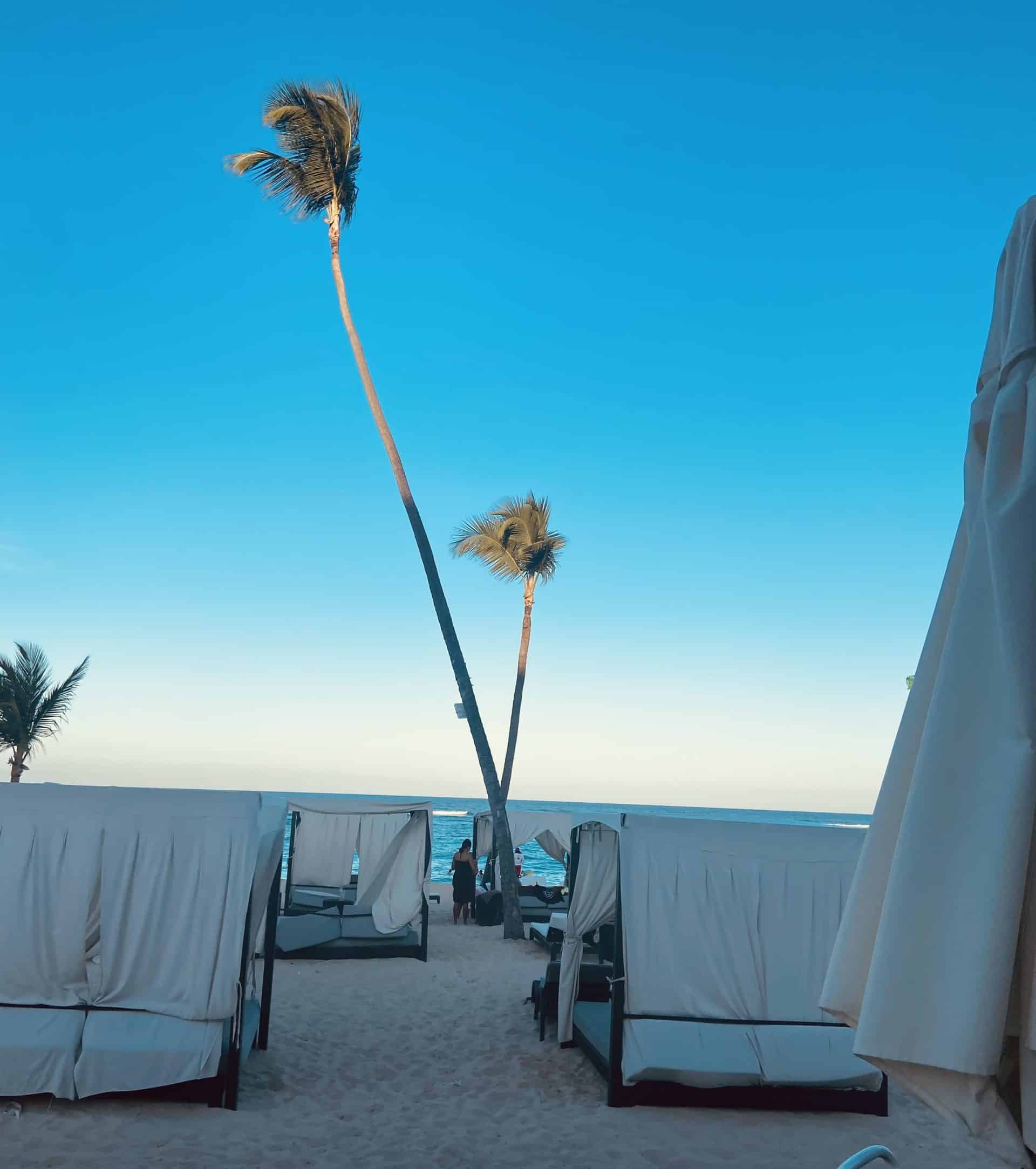 the back of canvas cabanas on the beach with two tall palm trees sticking out into the blue sky