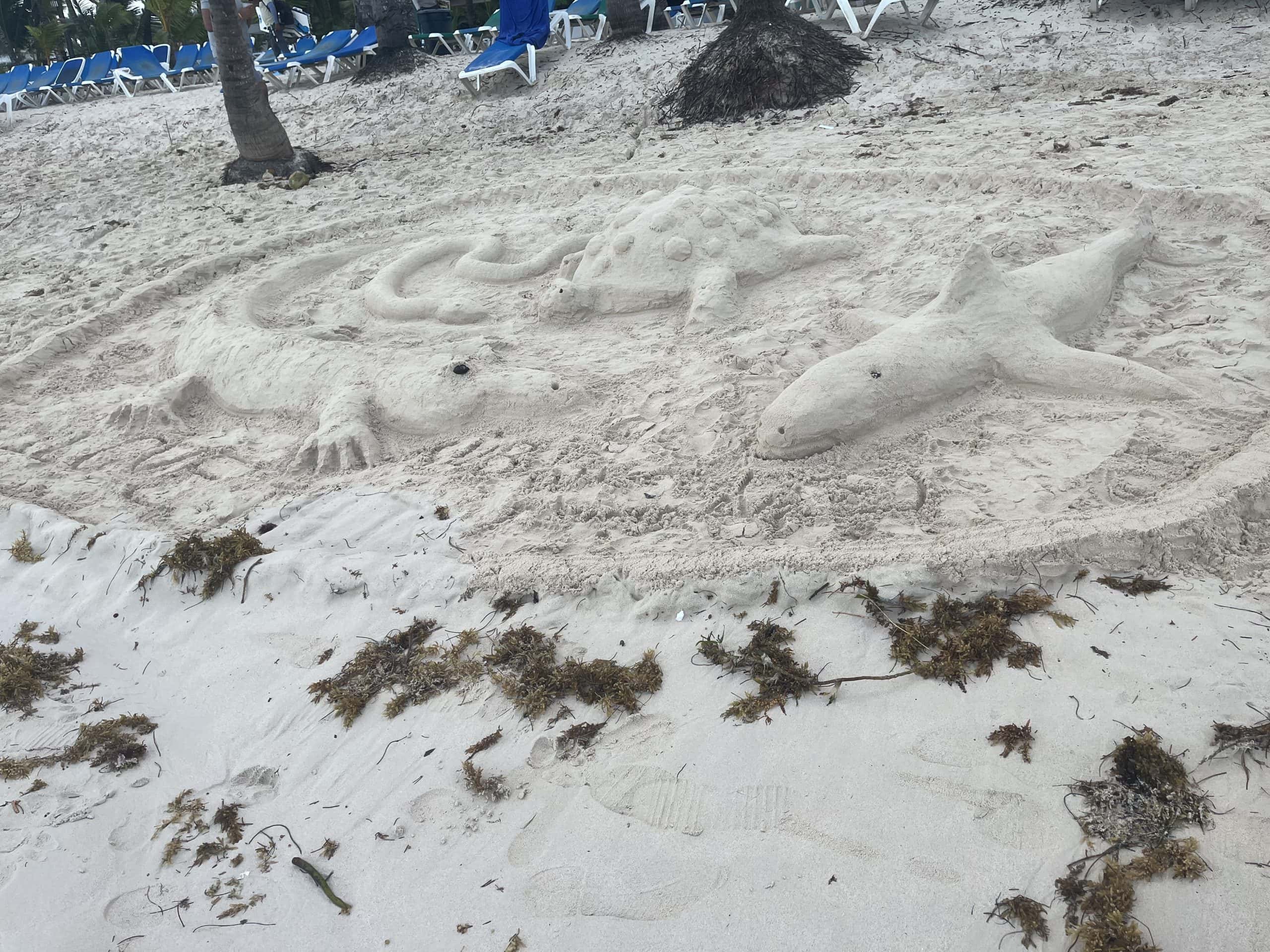 alligator and fish made out of sand on the beach