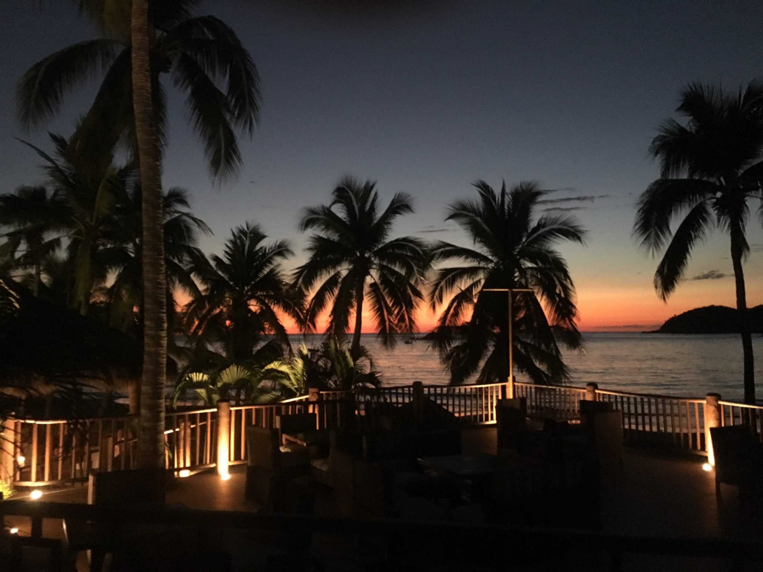 Palm trees with orange sunset behind