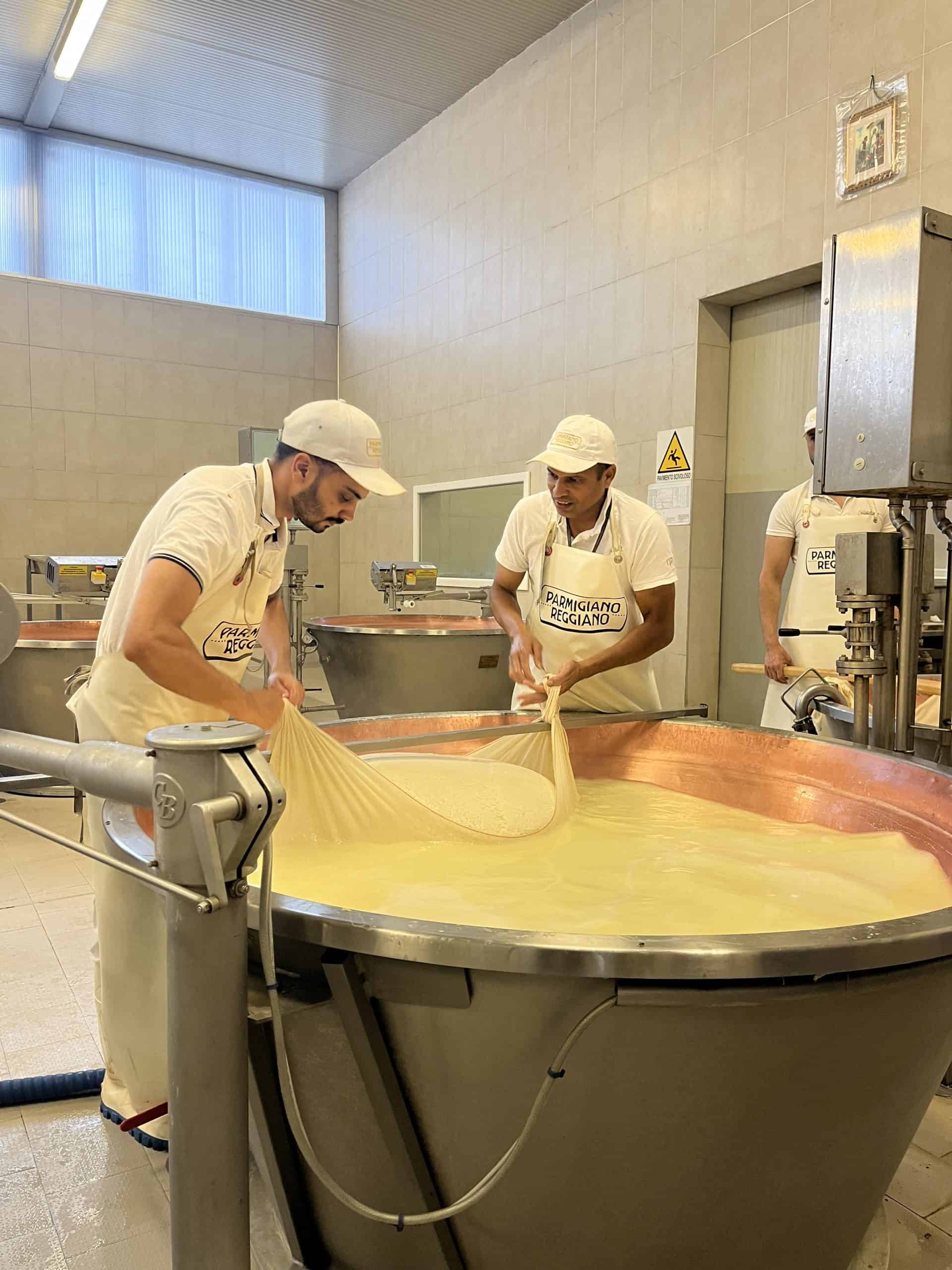 Cheese manufacturing process with workers handling curd or mozzarella batter.