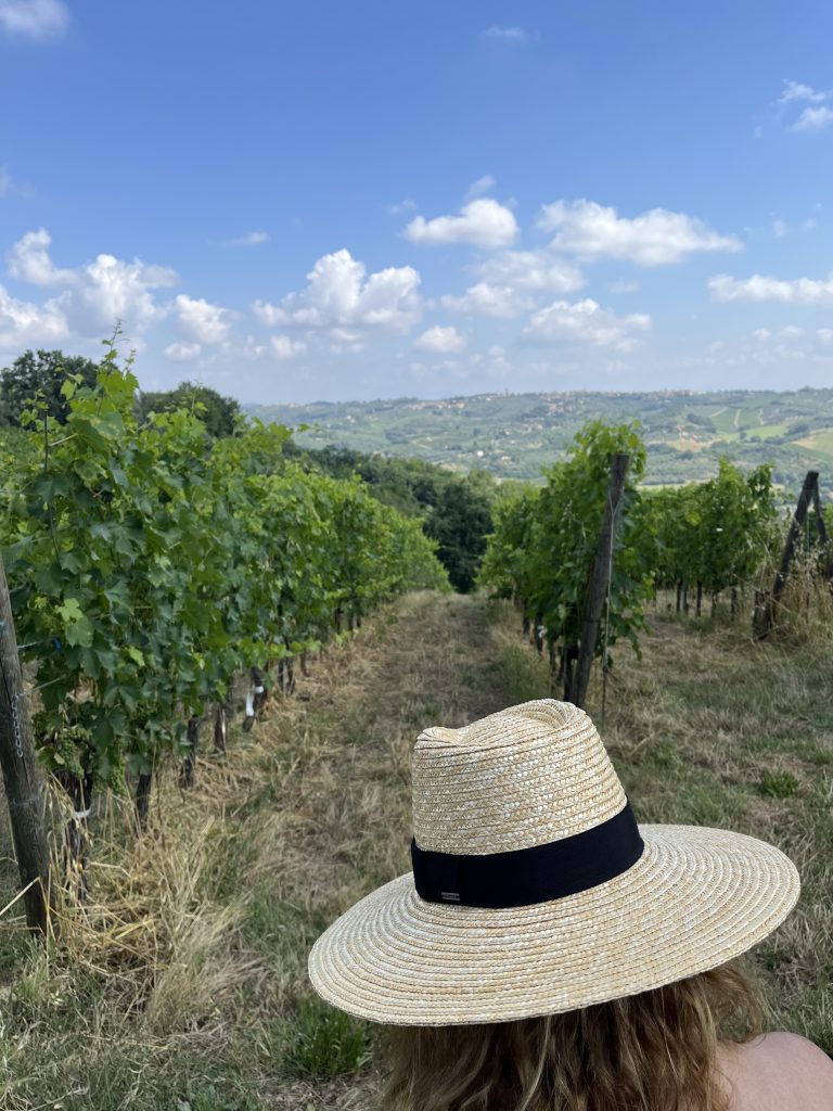 Woman wearing a wide-brimmed straw hat sits in a scenic vineyard, enjoying a peaceful moment amidst lush vineyards under a bright sky.