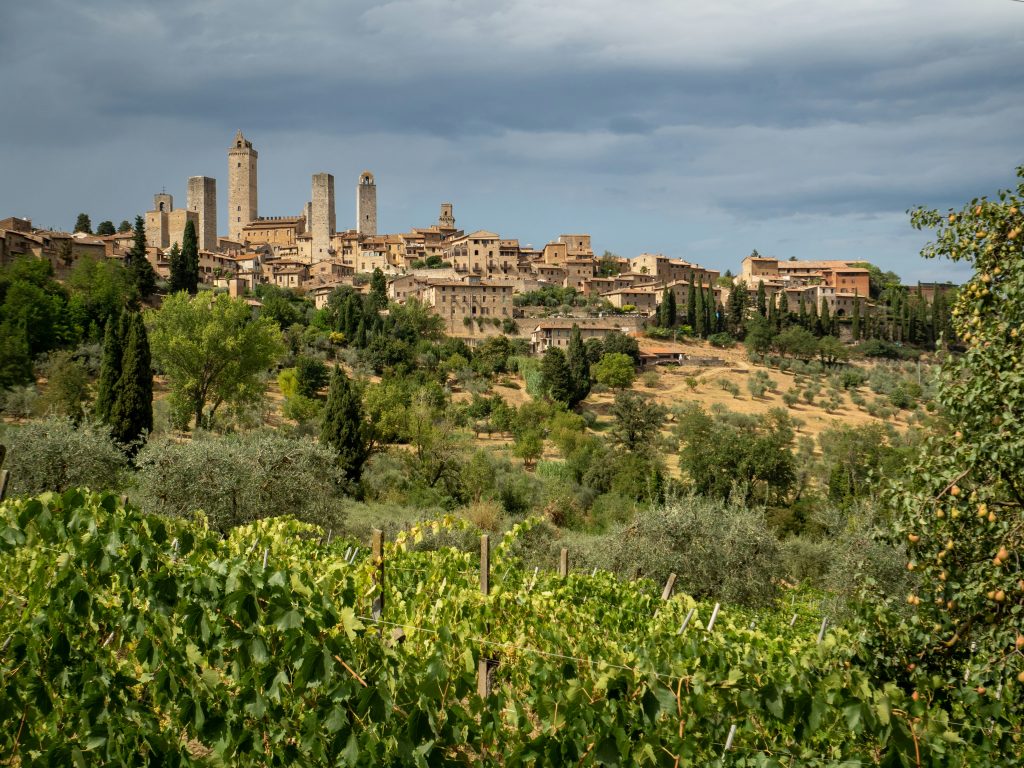 Beautiful Italy landscape with historic town and grapevines for travel inspiration.