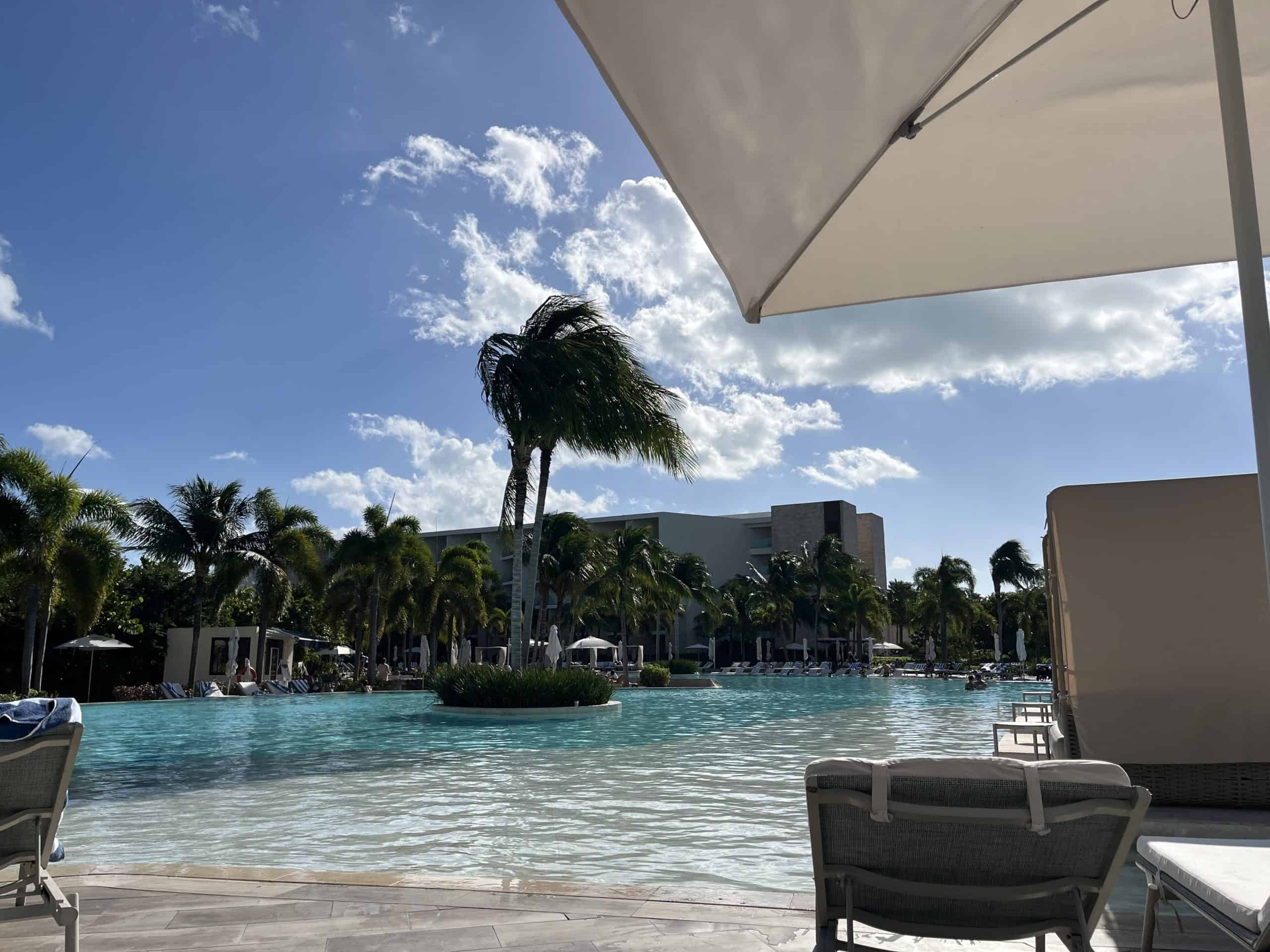 Resort swimming pool with palm tree in background