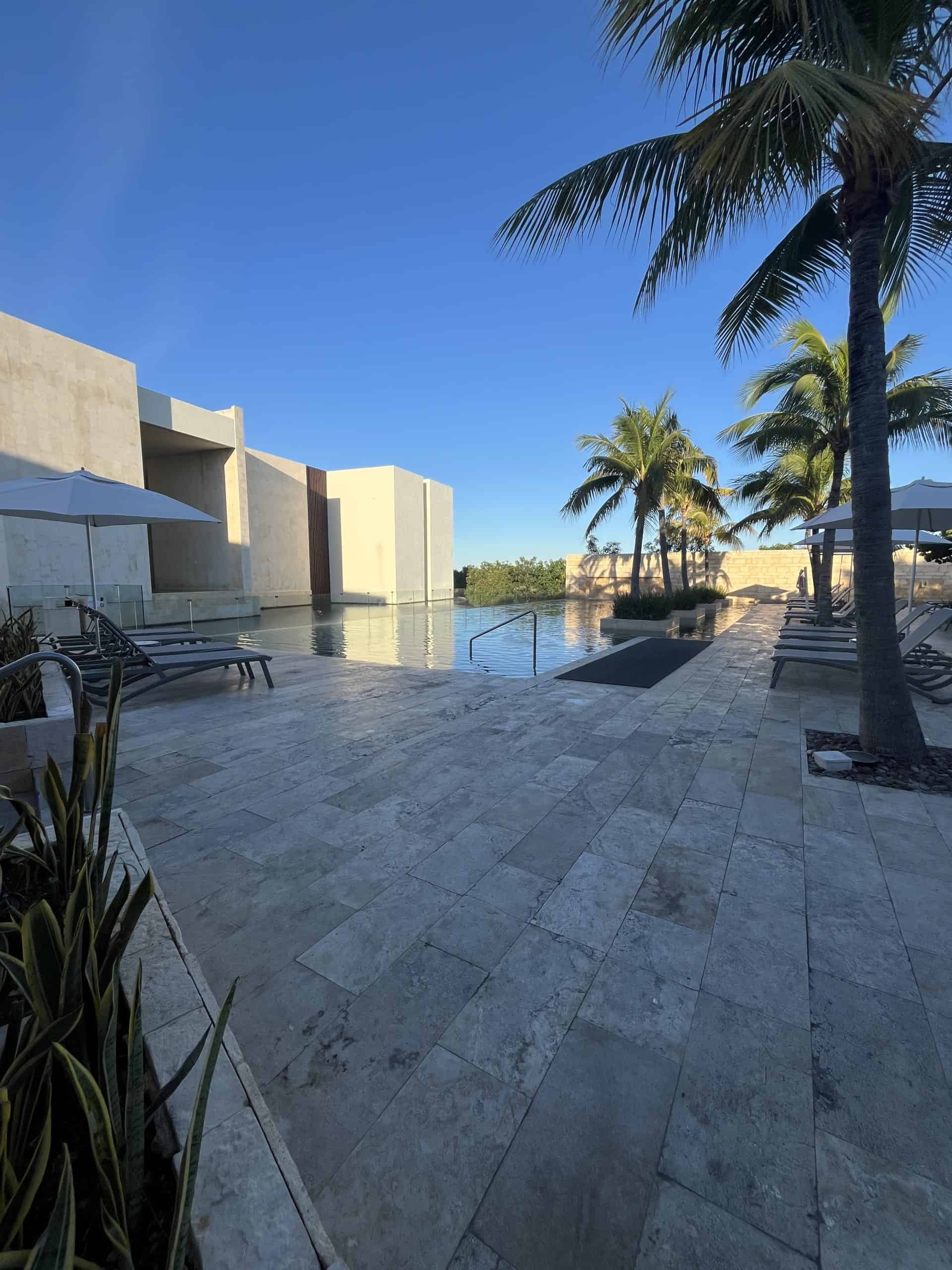 resort swimming pool with palm trees and chairs