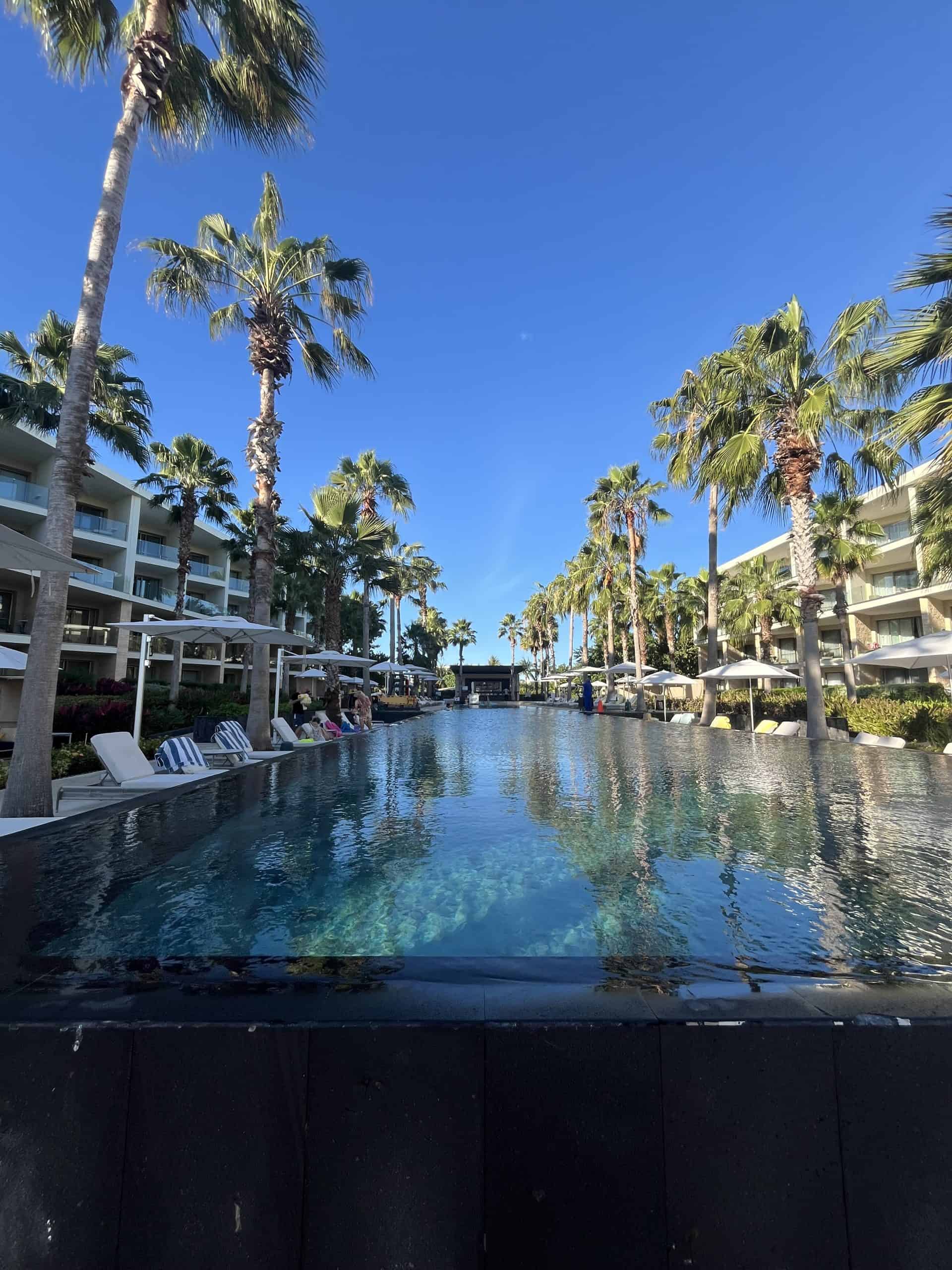 infinity swimming pool with palm trees lining both sides