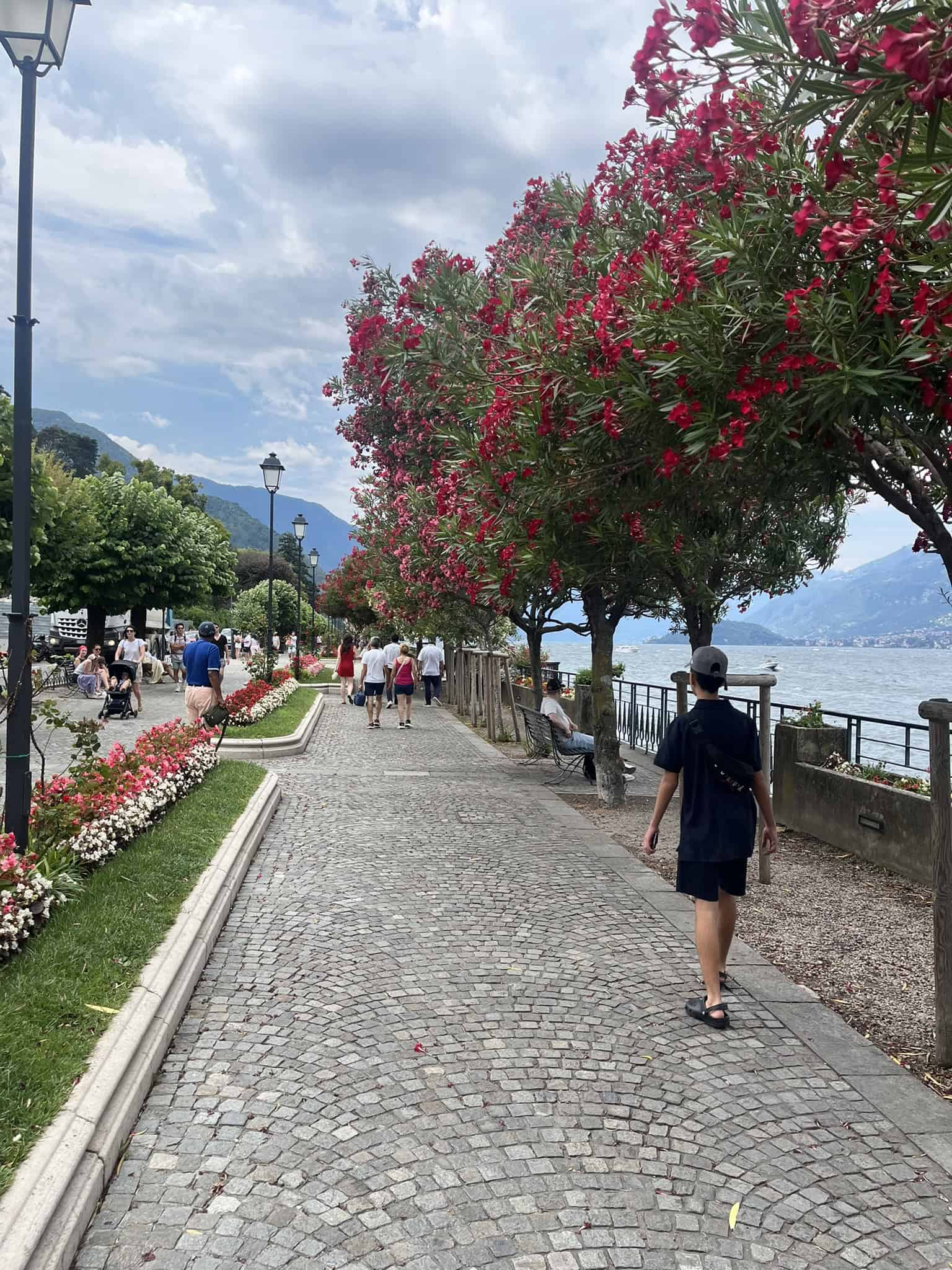 Tree-lined promenade by the lake
